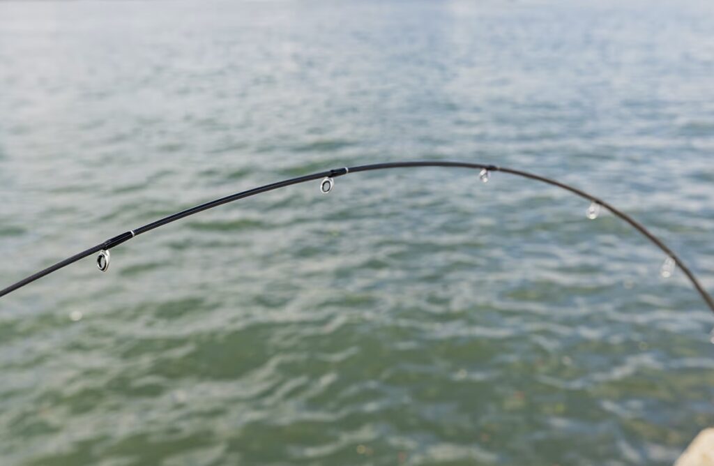 SHIMANO】NEW”ENCOUNTER” 2024年生まれ変わったスパイラルX搭載の