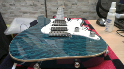 Tom Anderson Drop Top Classic Quilt H-S-H BFTS: Archive