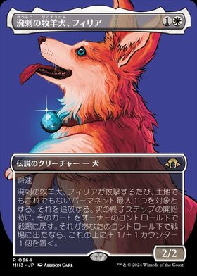 MH3)溌剌の牧羊犬、フィリア(0040)(F)/PHELIA EXUBERANT SHEPHERD