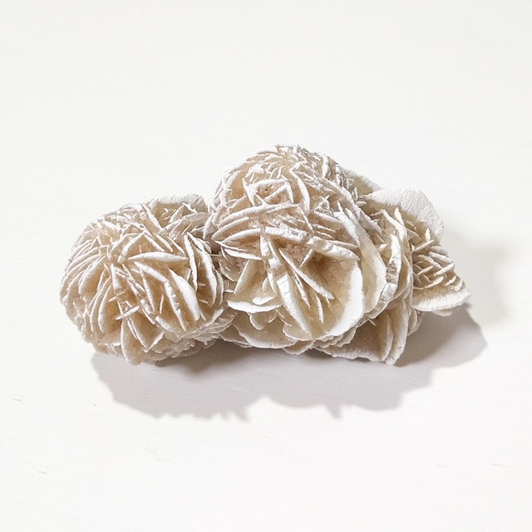 砂漠の薔薇 デザートローズ サンドローズ クラスター 鉱物 原石 鉱石