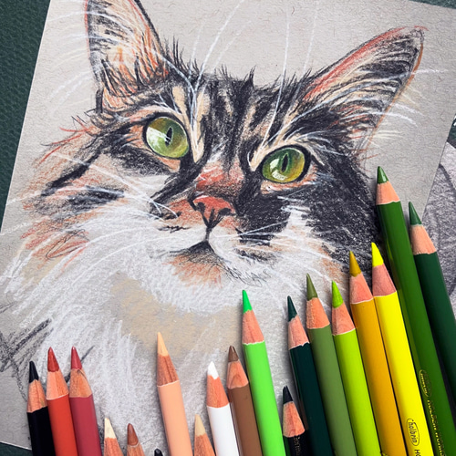 色鉛筆 ペット 似顔絵｜オーダーメイドイラスト犬 猫 鳥 小動物｜一点