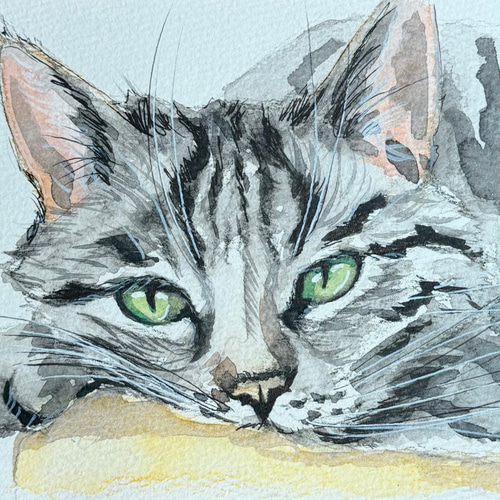 水彩画 原画｜猫ポートレートアート｜緑の瞳の猫イラスト 手描き一点物