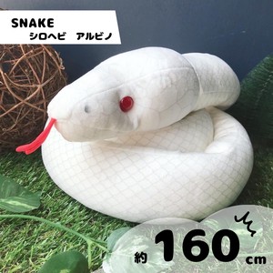 SNAKE ニシキヘビ アルビノ L ぬいぐるみの商品ページ｜卸・仕入れ