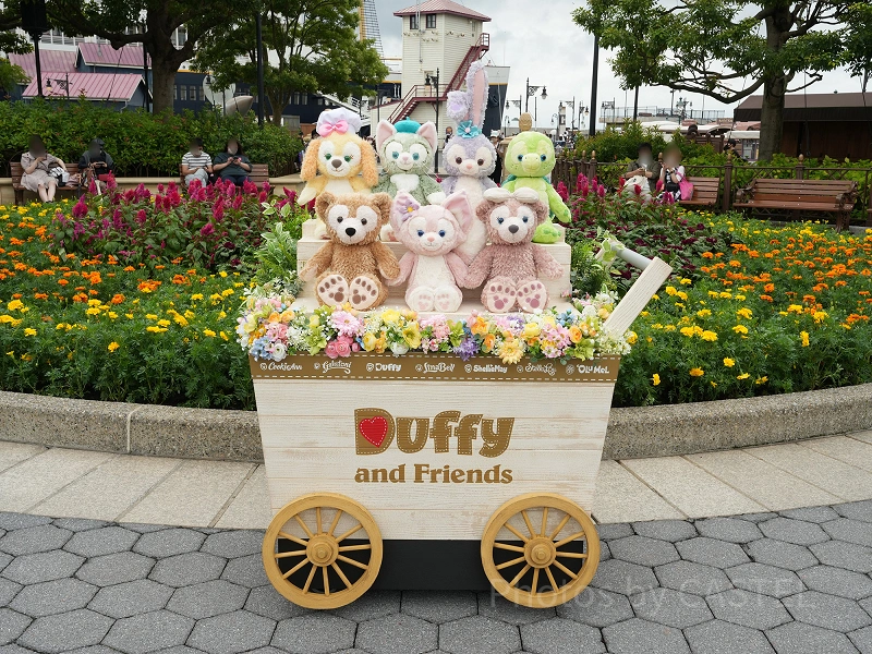 what-is-duffy-friends-j12502.webp