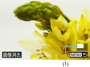 キヤノン：製品マニュアル｜EOS Kiss M2｜画像の拡大表示