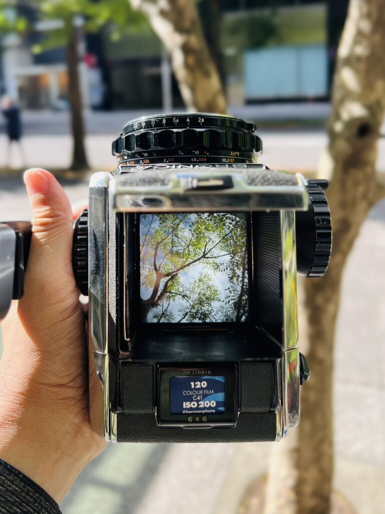 ZENZA BRONICA S2 実写レビュー！作例＆メリット・デメリットについて