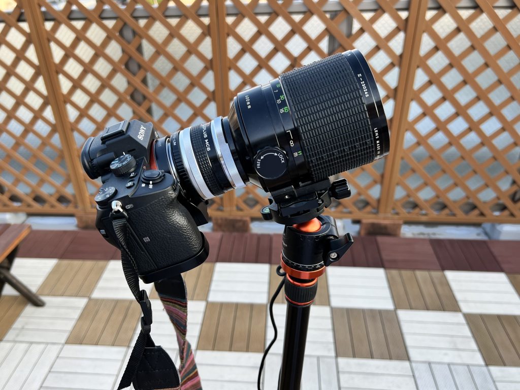 超望遠はロマンの塊！？SIGMA 600mm f8 MIRROR（シグマ）｜レビュー