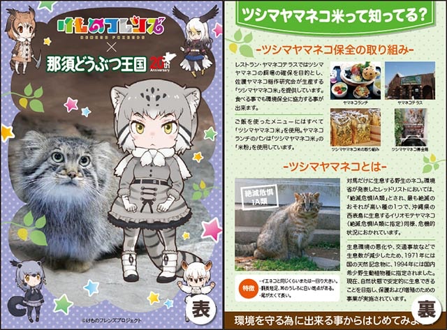 けものフレンズ「マヌルネコ」のカードが那須どうぶつ王国に登場 | Cat