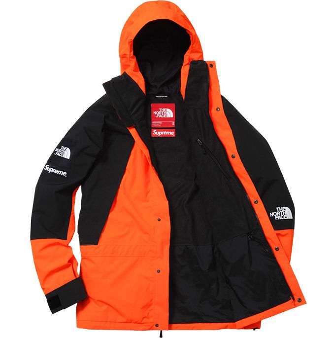 コラボ☆Supreme x The North Face Mountain Light Jacket 16AW