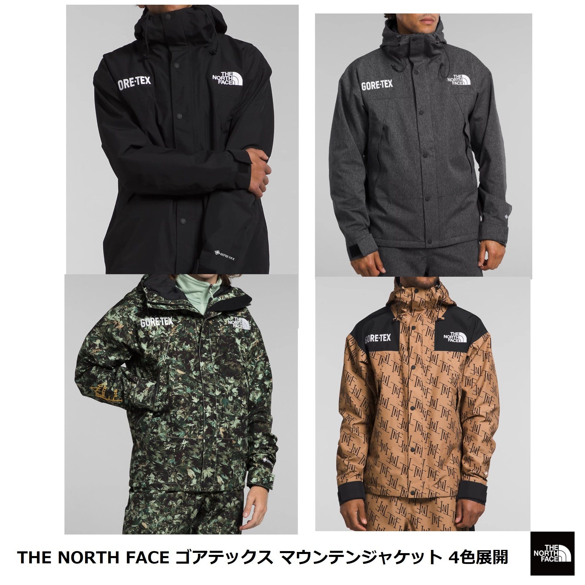The North Face] ゴアテックス マウンテンジャケット 4色展開 (THE