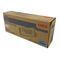 沖データ（OKI） 純正トナー TC-C3BK2 ブラック 大容量 1個 - アスクル