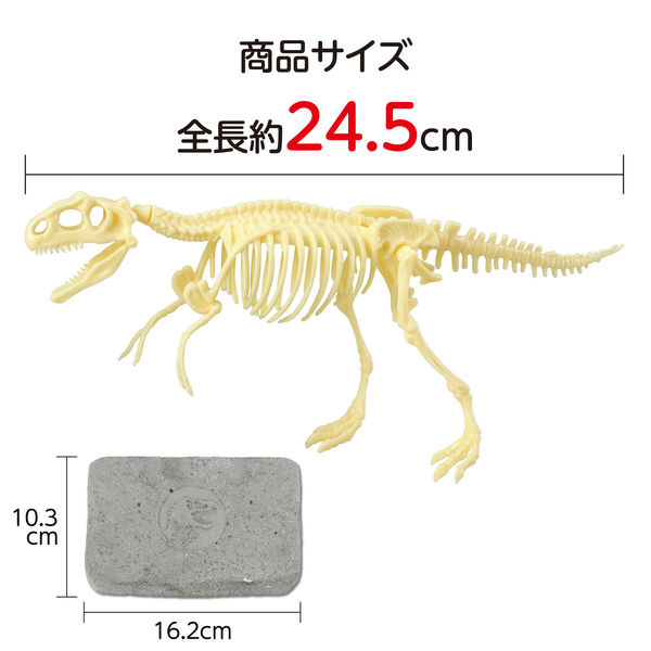 アーテック 化石発掘キット ティラノサウルス 9472 1セット（直送品