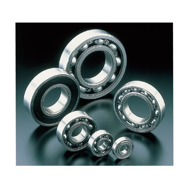 南海精工所 SSシリーズ SUS440Cステンレスベアリング SS6900ー2RSNR2 1