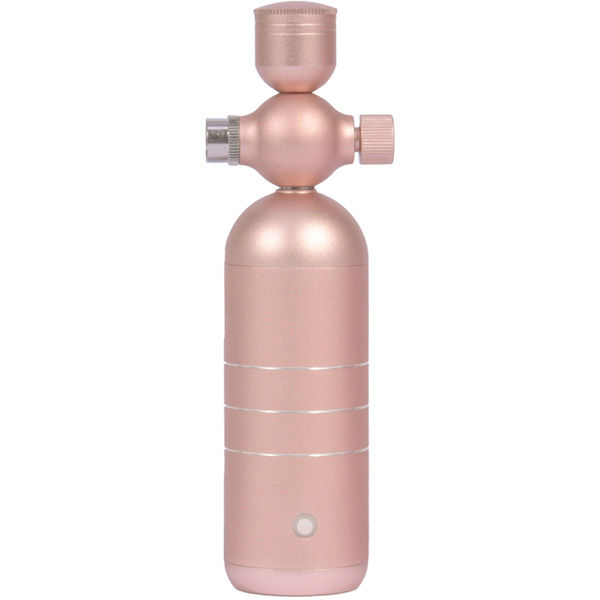 大河商事 リッチミストガン 化粧水噴霧 20ml マイクロミスト 0