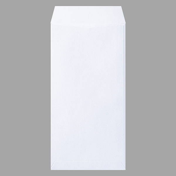 オキナ ホワイト封筒100g長3枠無し100枚パック WP600N 1袋 - アスクル