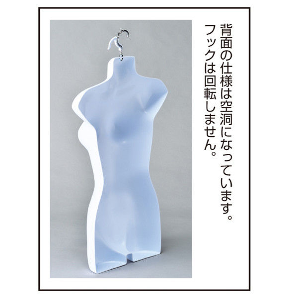 ストア・エキスプレス 婦人前面ハーフトルソー（つや有りタイプ） 10台