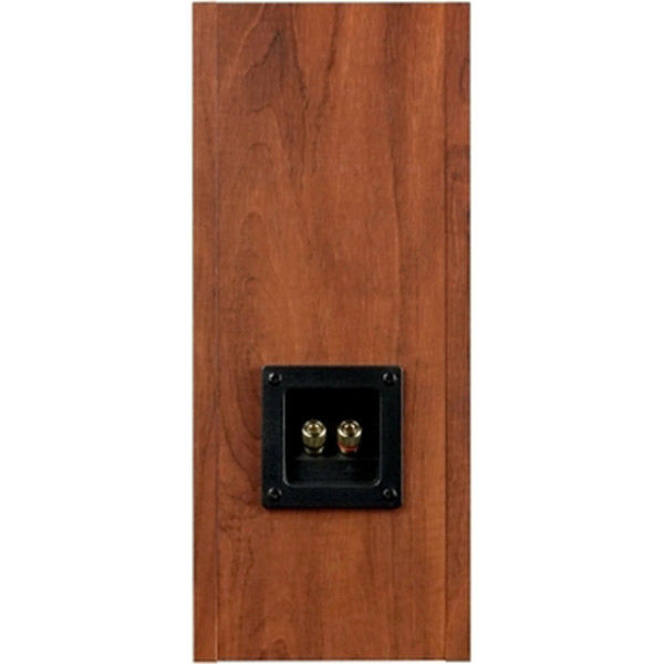 FOSTEX バックロードホーン方式スピーカーボックス P1000-BH 1個（直送