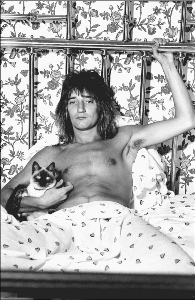 Rod Stewart in 1976 - Photographic print for sale
