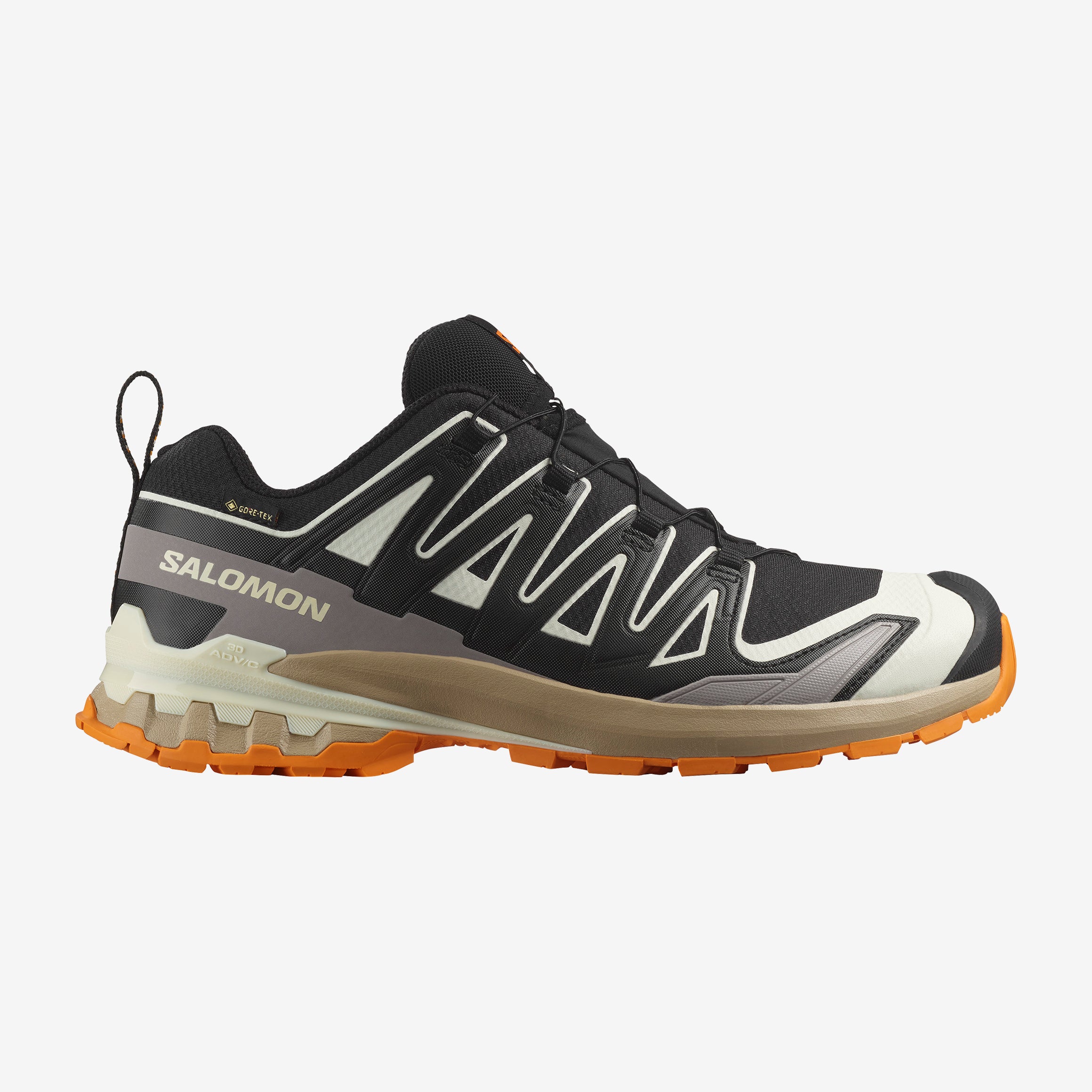 XA PRO 3D V9 GORE-TEX Black | Salomon