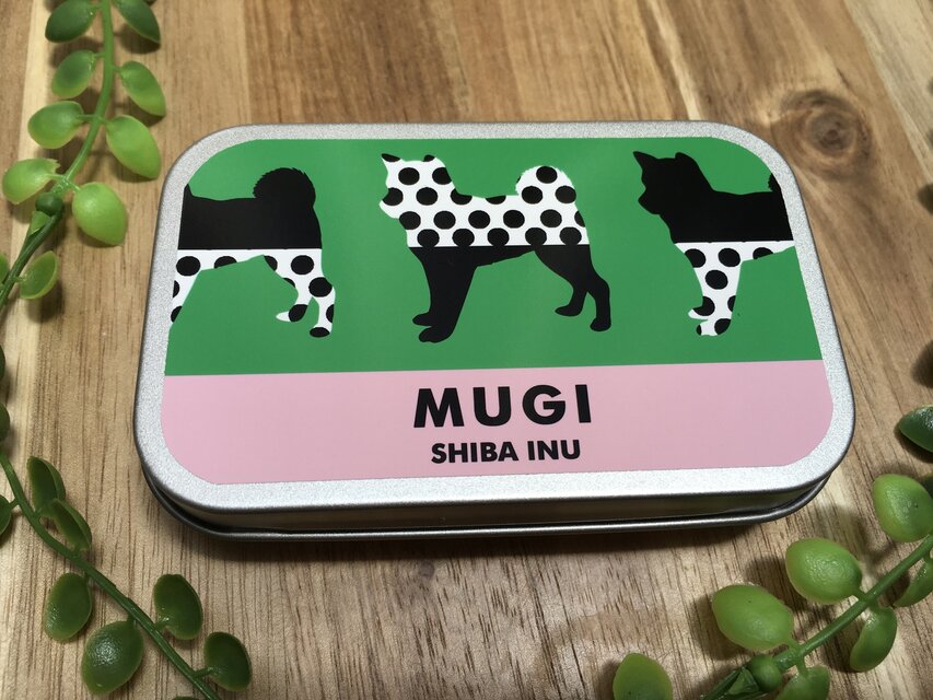 うちの子☆おやつ缶☆カラー☆お散歩☆トリーツ☆犬☆猫☆ペット