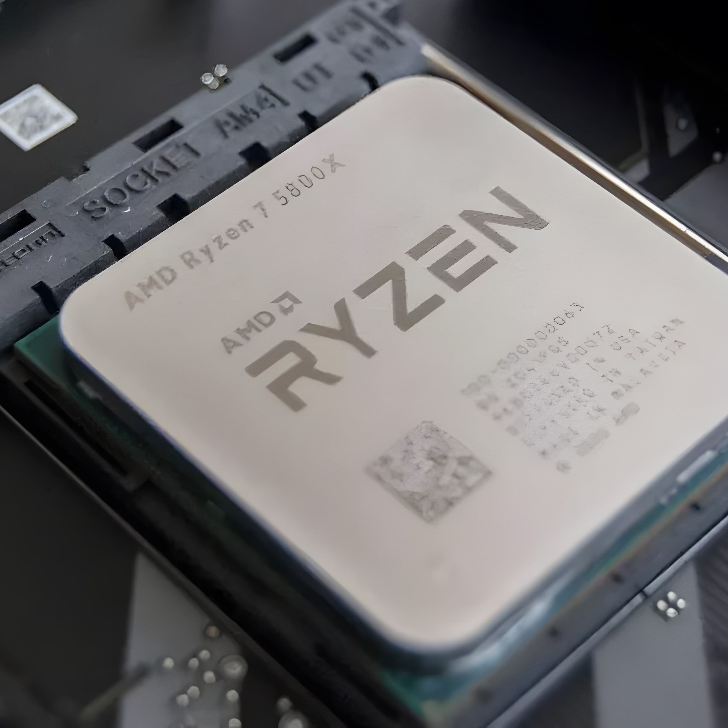 Should you get a Ryzen 7 5800X or a Ryzen 5 5600X? | Windows Central