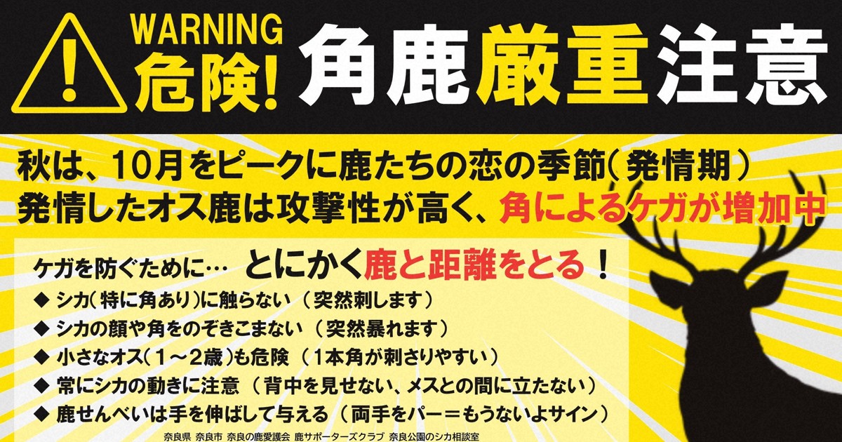 奈良公園で鹿の角が刺さりけが、7倍に急増 発情期で攻撃性高く | 毎日新聞