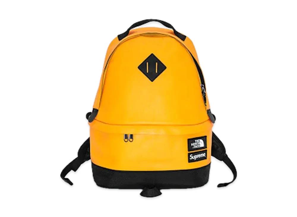 Supreme x The North Face Leather Day Pack 