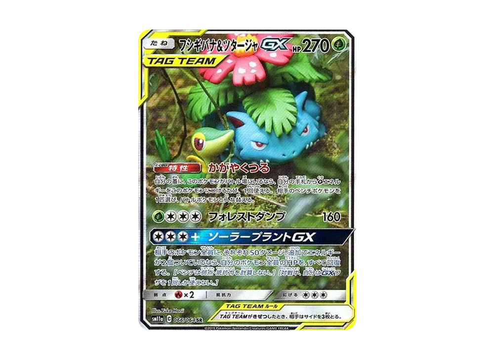 フシギバナ&ツタージャGX SR: SA[SM11a 066/064](強化拡張パック