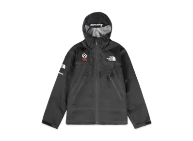 Supreme x The North Face Leather Mountain Parka 