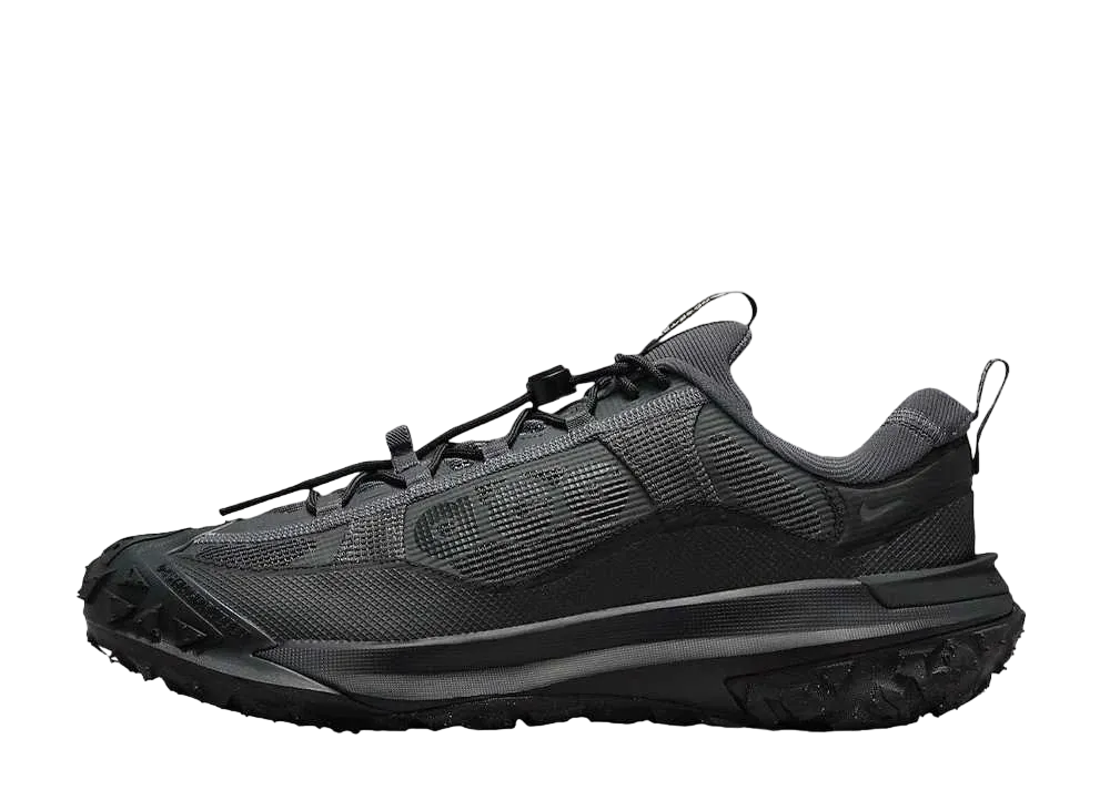 Nike ACG Mountain Fly 2 Low 