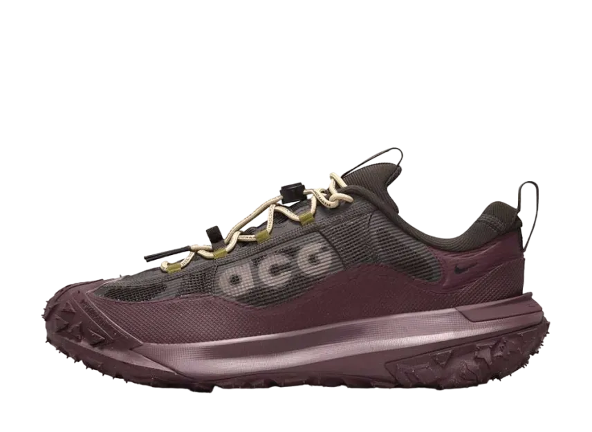 Nike ACG Mountain Fly 2 Low GORE-TEX 