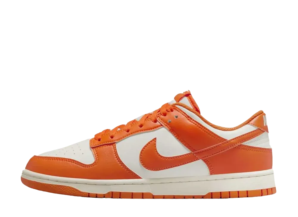 Nike Dunk Low Retro 