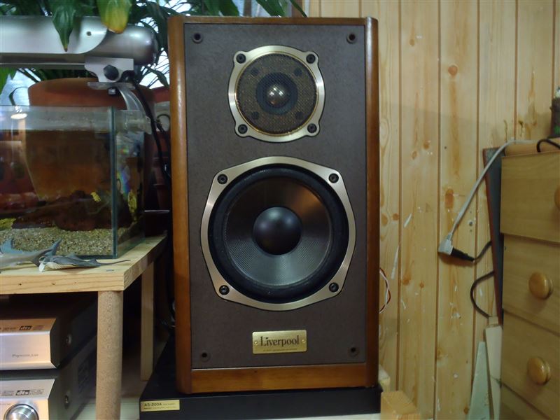 趣味のオーディオ ONKYO D-500II liverpool｜ゆう＠タコレガのブログ