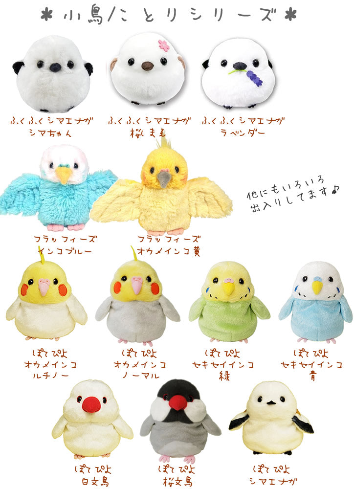 鳥 誕生日 プレゼント 鳥好き 女子 グッズ セキセイインコ 青 緑