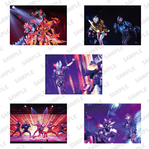 新商品 – TSUBURAYA STORE ONLINE