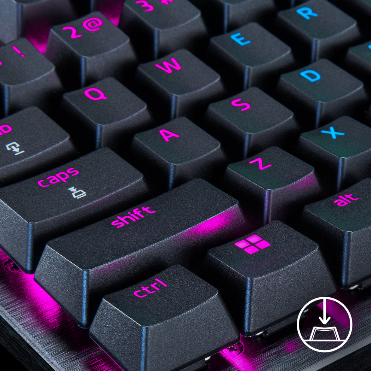 RZ-00401-N0_a5.jpg?v=1697435350