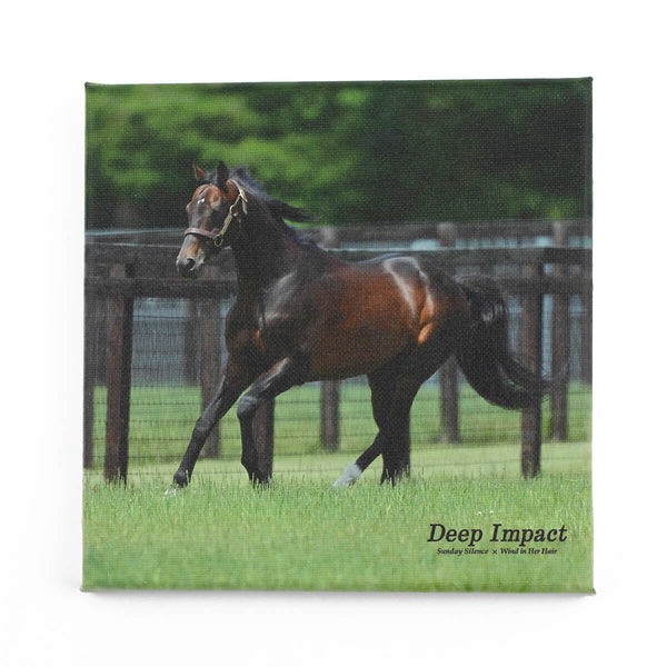 ストラップ頭絡 ディープインパクト 7冠新 - 競馬グッズの通販サイト