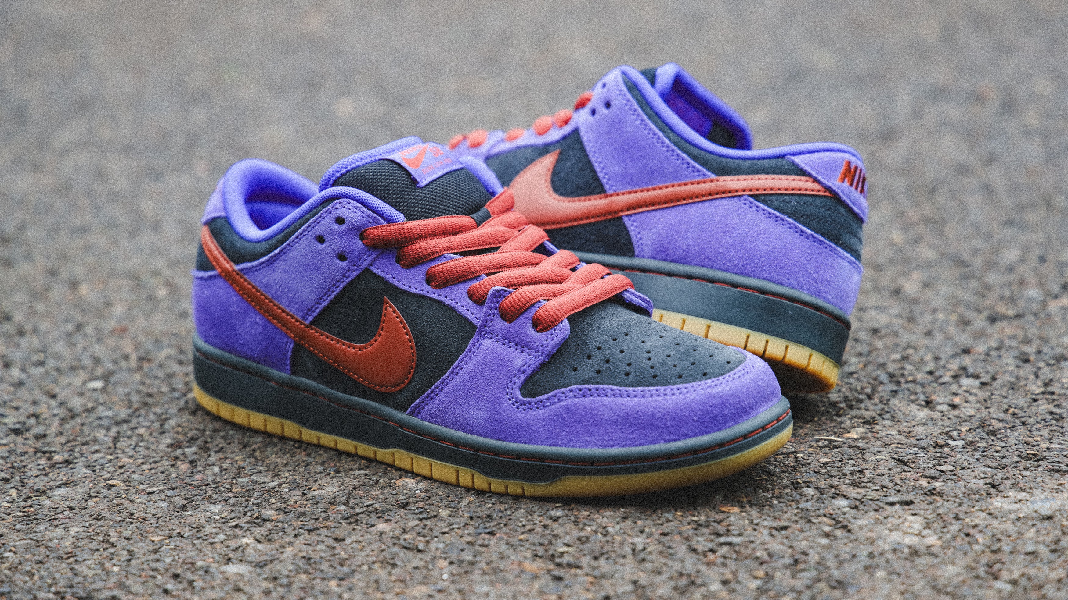NIKE SB（ナイキ スケートボーディング）| NIKE SB DUNK LOW PRO