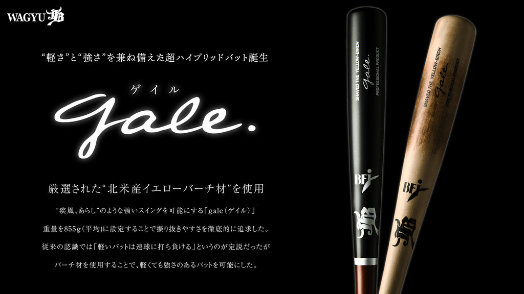 バーチ材硬式木製バット「Gale（ゲイル）シリーズ」デビュー。その特徴