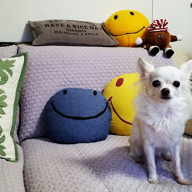 ニコちゃんクッションのおすすめ商品とおしゃれな実例 ｜ RoomClip
