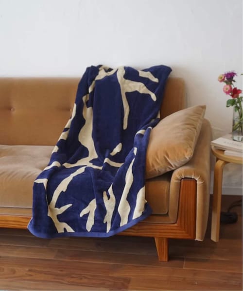 journal standard Furniture （ジャーナルスタンダードファニチャー