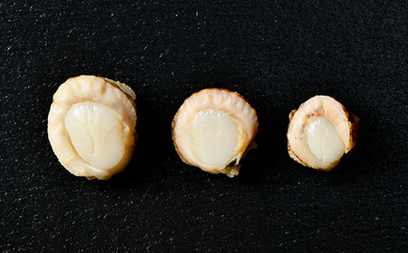 訳あり】北海道・噴火湾産冷凍ベビーボイルほたて（サイズ不選別品