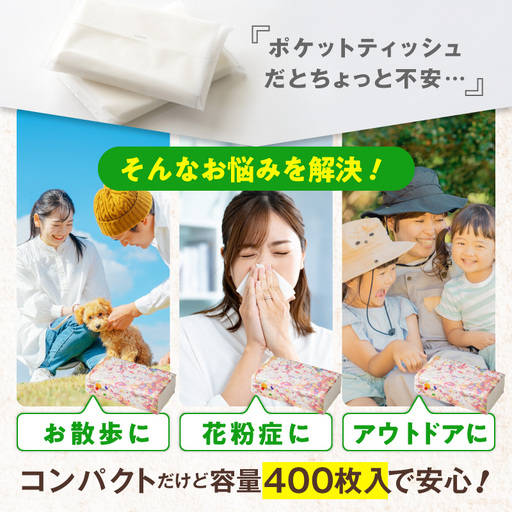 ソフトパックティッシュ 60パック×400枚 ティッシュペーパー | 大阪府