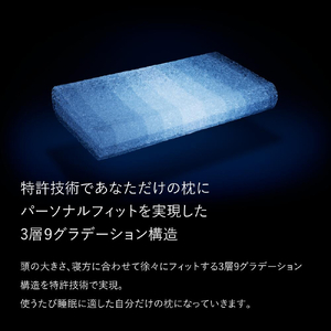ブレインスリープ ピロー STANDARD ( 9グラデーション )＋ カバー