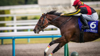 リバティアイランド アルテミスS 阪神JF ドゥラメンテ | チャレンジトゥG1