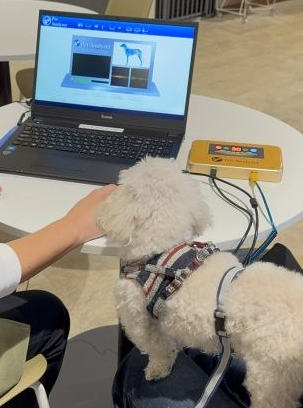 ペットアナライザー 導入しました！｜ちゃこーるぐれい 〜ペットのため