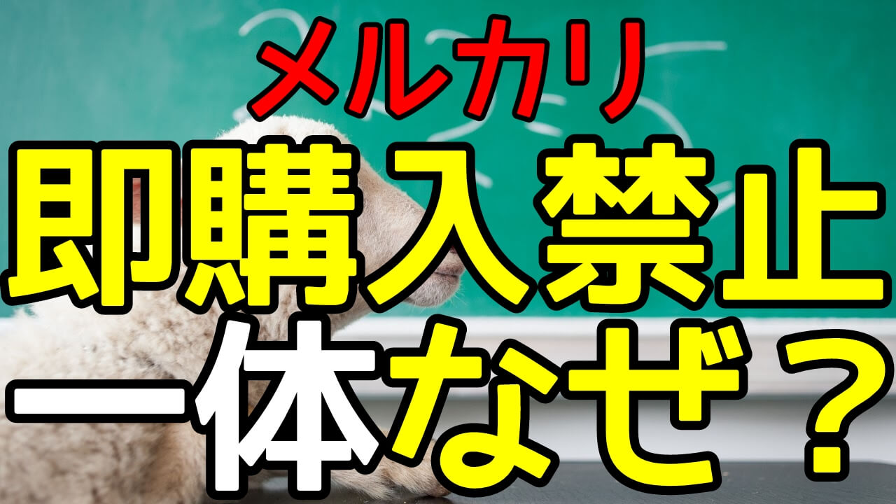 メルカリで即購入禁止にするのは一体なぜ？出品者の考えを解説 | ちりへら