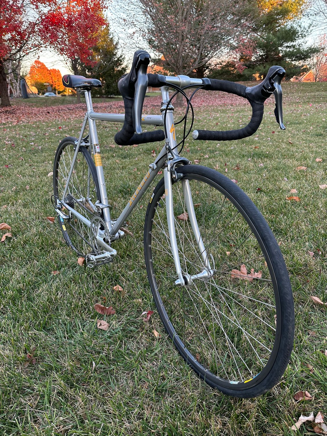 1993 Specialized Allez Pro - Bike Forums
