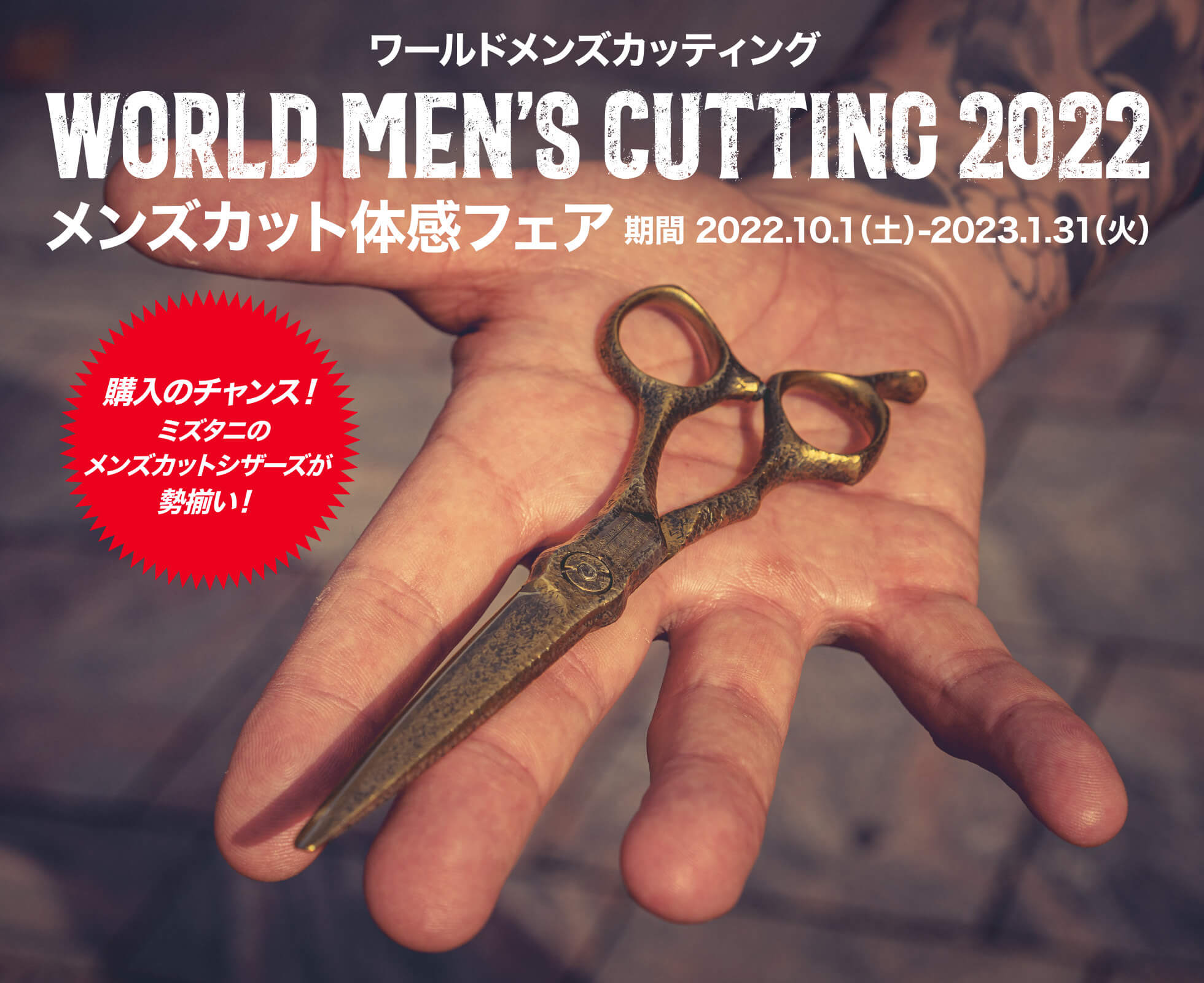 特集 メンズカット体感フェア | ミズタニシザーズ
