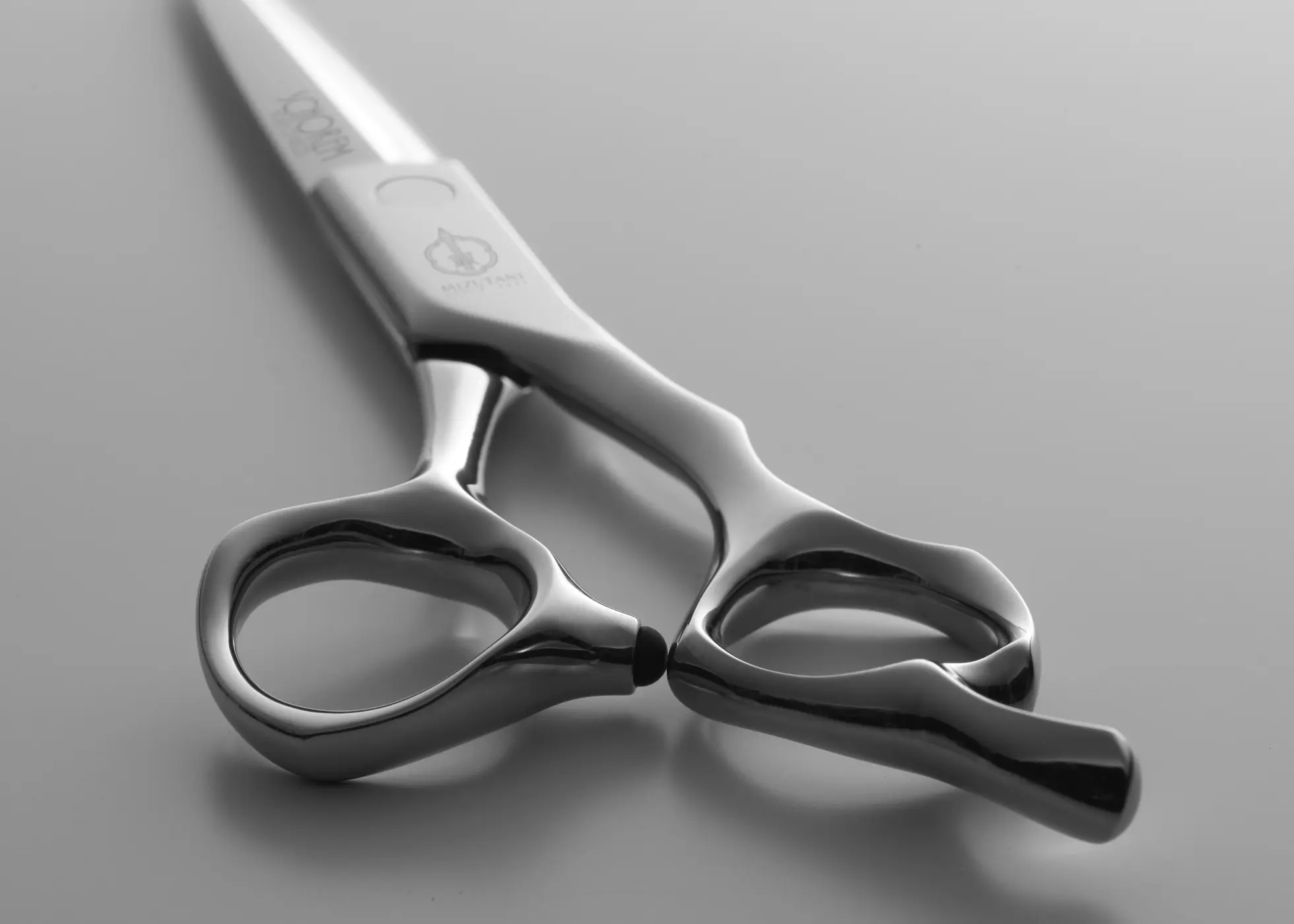 SCHOREM MASTER ORIGINAL SM-02 | ミズタニシザーズ